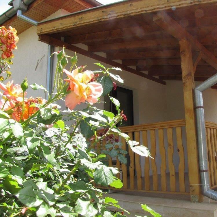 Guest House Vergie Sapareva Banya ภายนอก รูปภาพ
